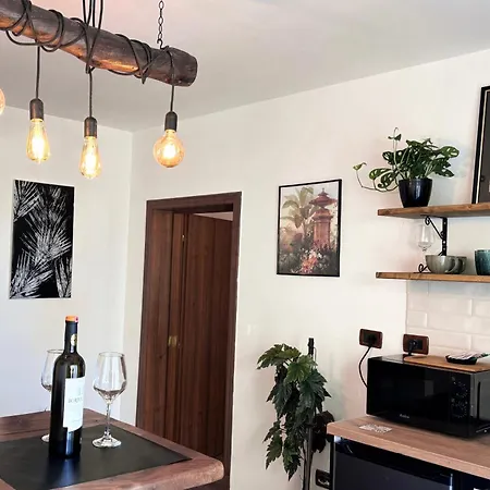 Tirana Apartment Διαμέρισμα Τίρανα